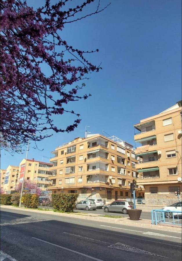 Sidi Ifni 7-9-2 Lejlighed Alicante Eksteriør billede